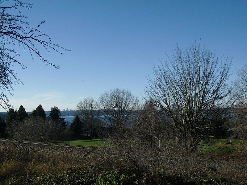 The view of Lake Washington and Terrace Park from balcony deck and living room