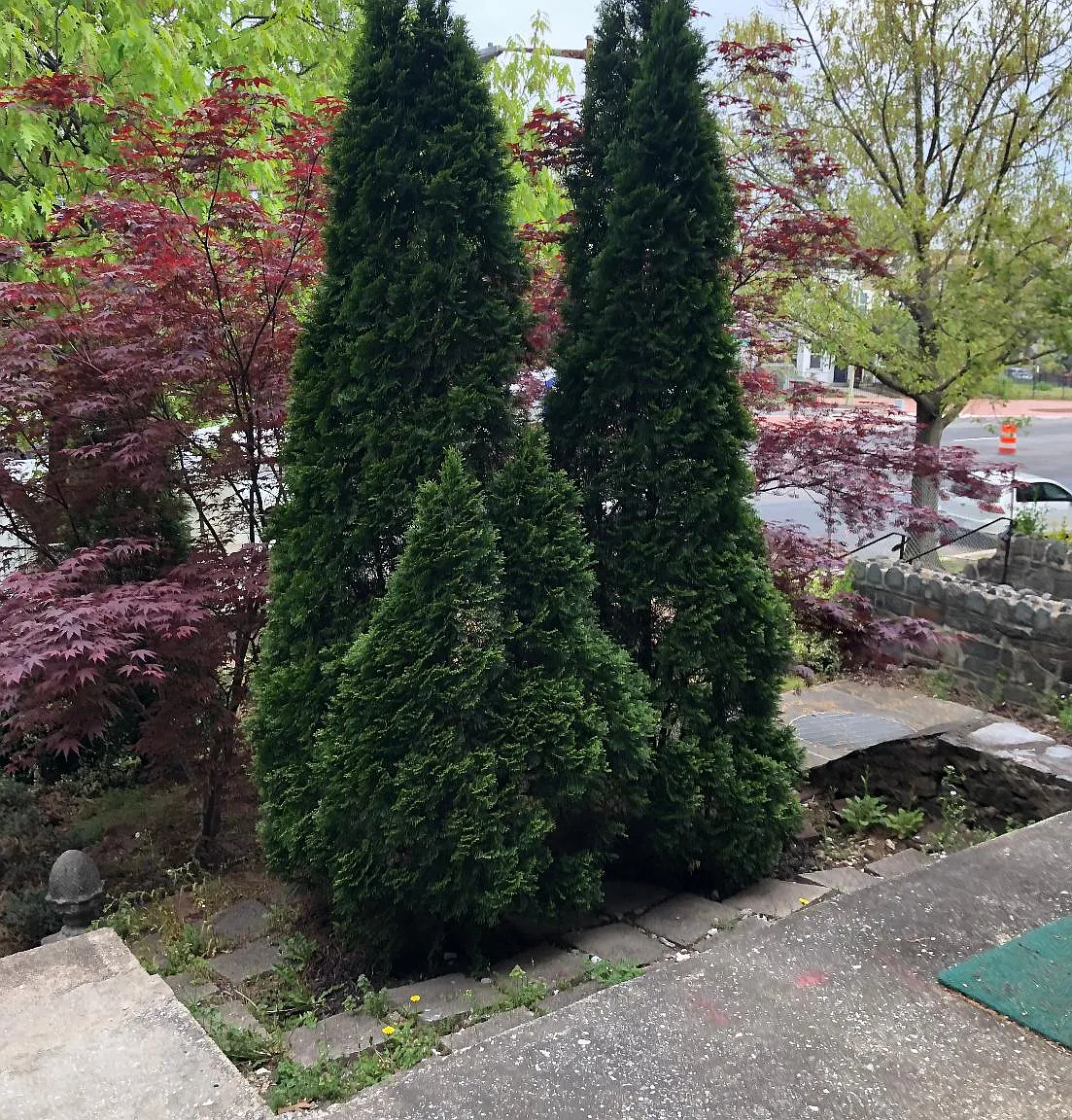 2 bed, 1.5 bath, 1250 sqft, $3,250 — Photo 3