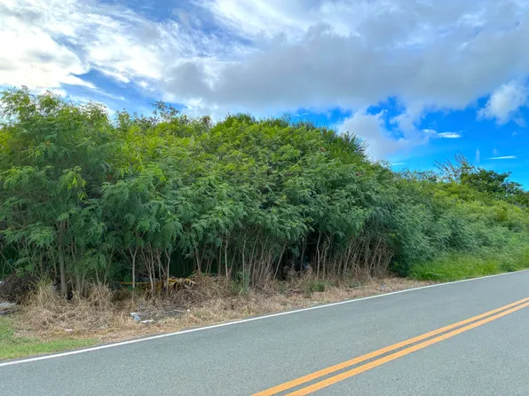 42T Whim (Two Will) WE, St. Croix, VI 00840