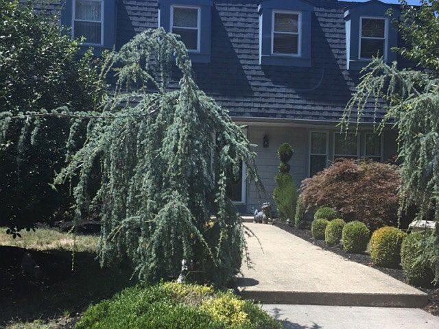 2nd image of 398 Idell St