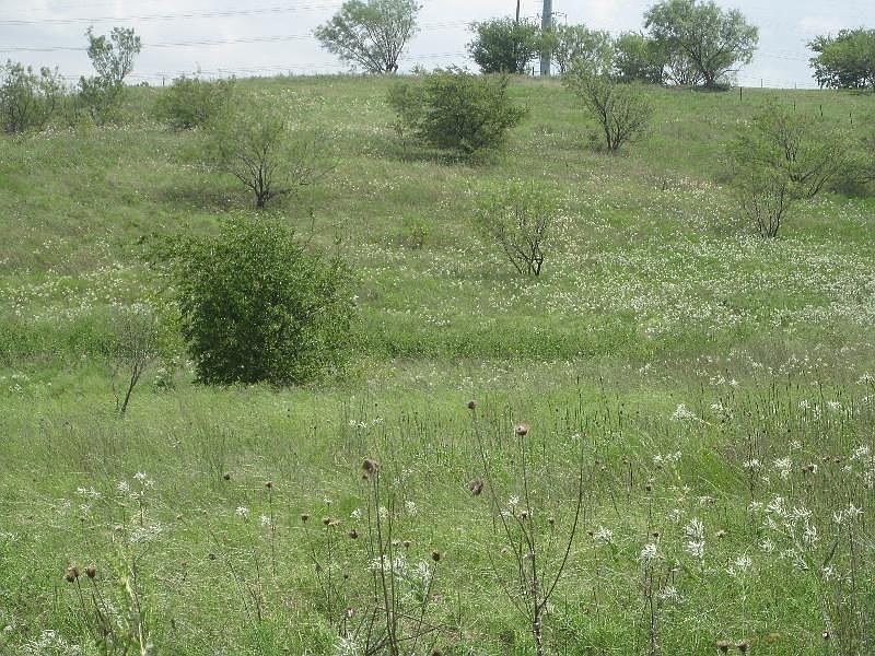 2nd image of 13900 Allen Trl