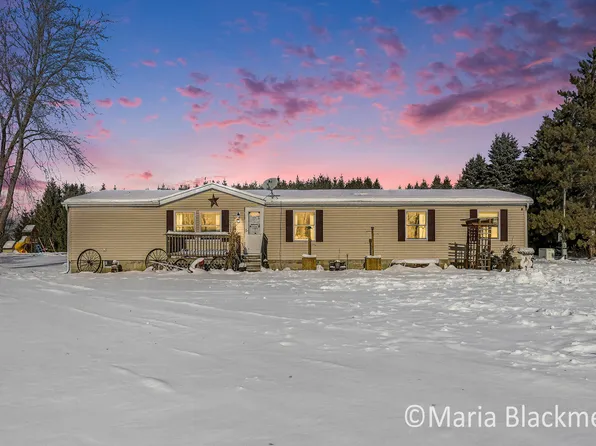 1451 W Charles Rd, Ionia, MI 48846