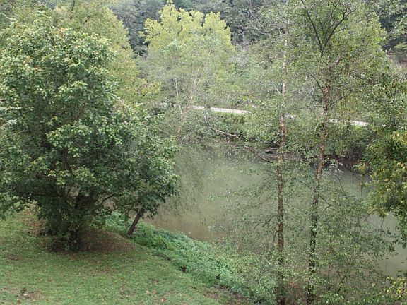 3rd image of 20 Ivydale River Road