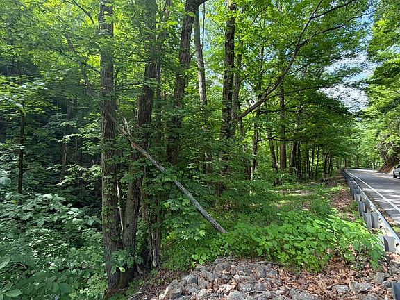 4th image of Wears Valley Rd