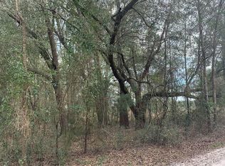 162nd Ter, McAlpin, FL 32062