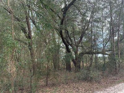 162nd Ter, McAlpin, FL, 32062