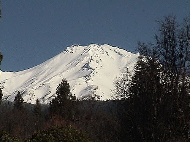 MT SHASTA VIEW