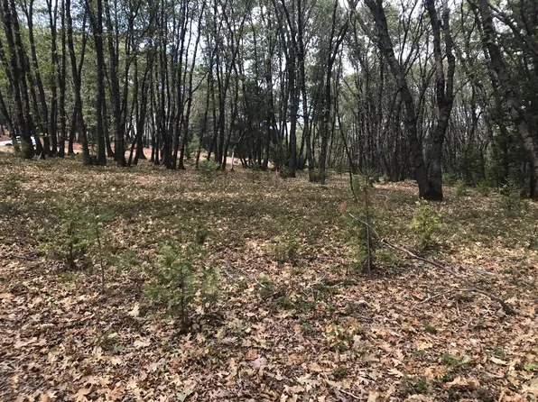 14265 Rattlesnake Ridge Dr, Grass Valley, CA 95945