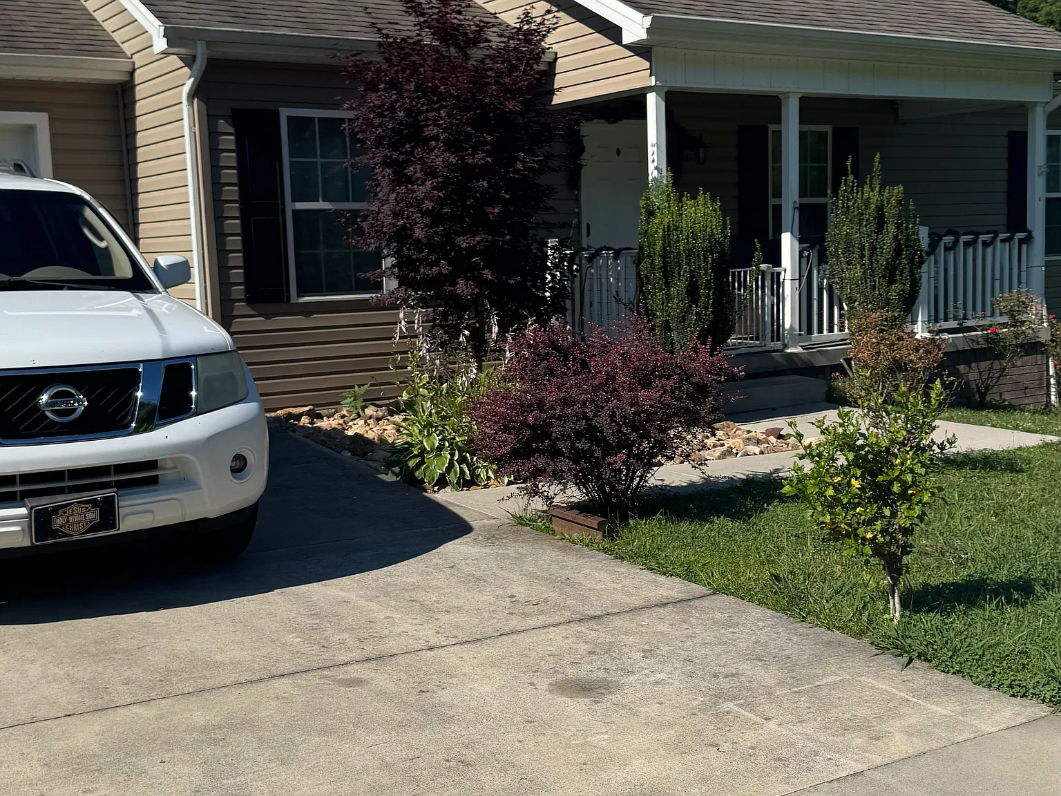 3 bed, 1200 sqft, $2,000 — Photo 3