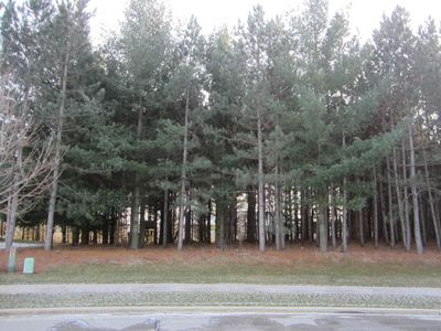 1615 Pine Cove Ct, Slinger, WI, 53086