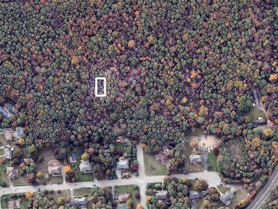 Willow Street, Selden, NY, 11784