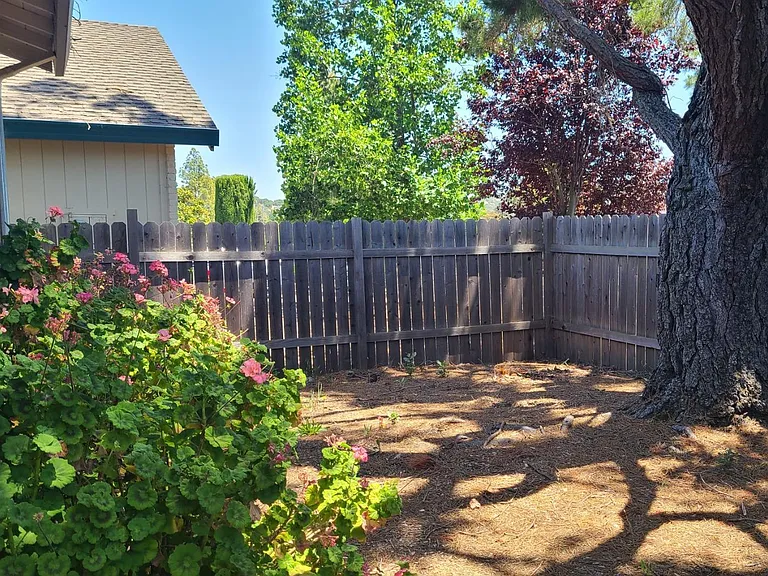 221 San Marin Dr — Photo 17