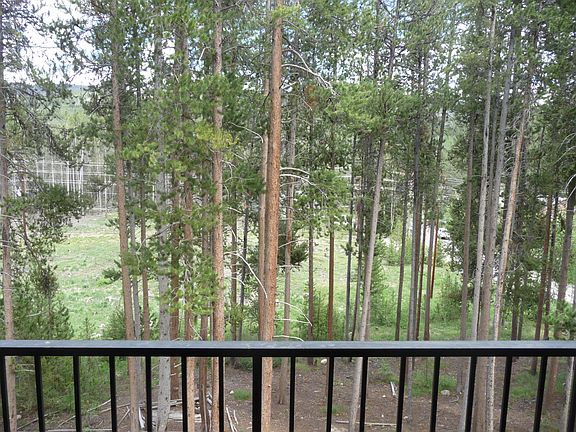 Views from the Deck