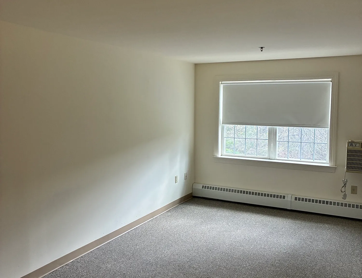 Carmen Romano Apartments — Photo 3
