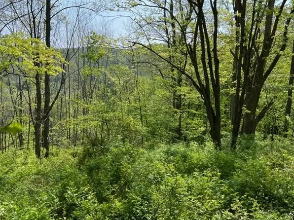 0 Taynton Rd, Wellsboro, PA 16901