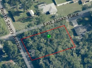 3428 E Jonah Pl, Inverness, FL 34453