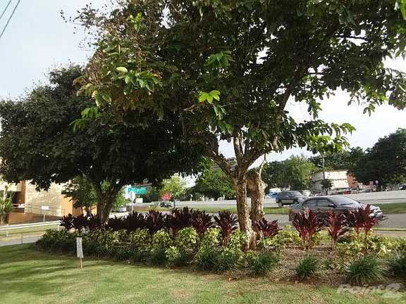 Garden in front of building