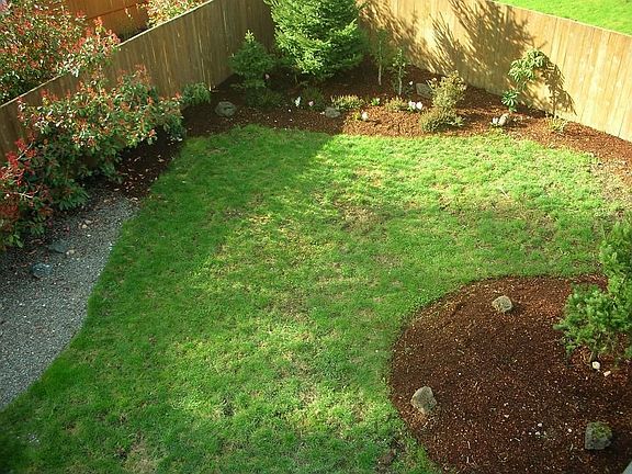 Fully Fenced Backyard