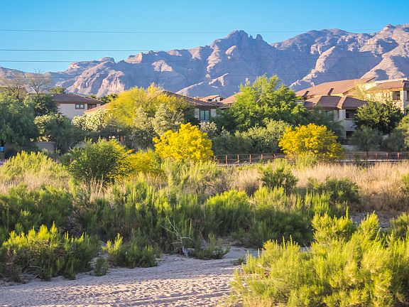 View of the community