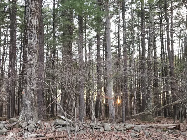 0 King Hill Road, Freehold, NY 12431