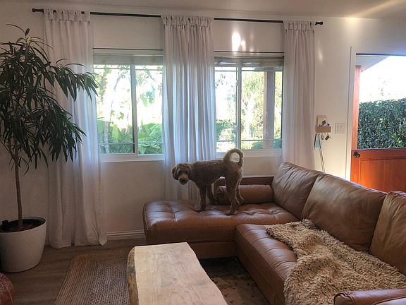 bright, airy living room. Dog not included :)