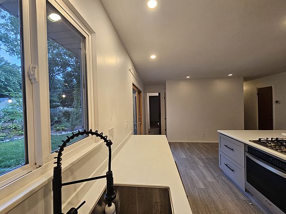 Large sink looking out on back yard