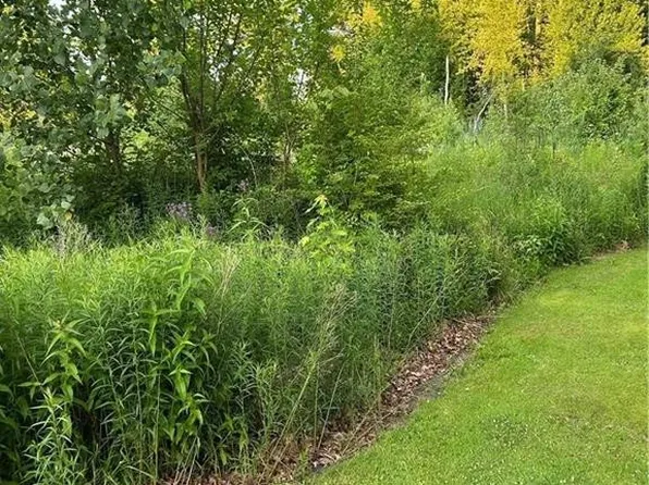 2946 Elmwood Dr, Sylvania, OH 43560