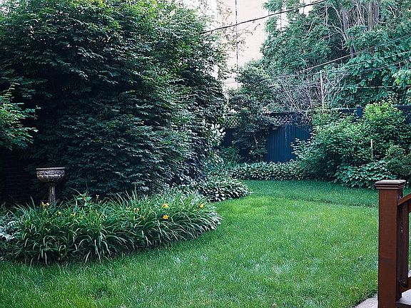 More Back yard 