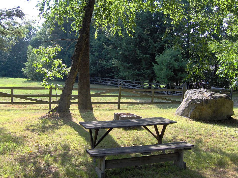 Horse pasture
