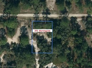 393 Morningside Dr, Lake Placid, FL 33852