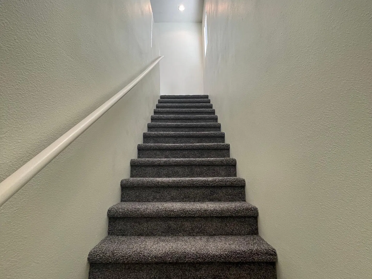 2 bed, 1263 sqft, $1,800 — Photo 3