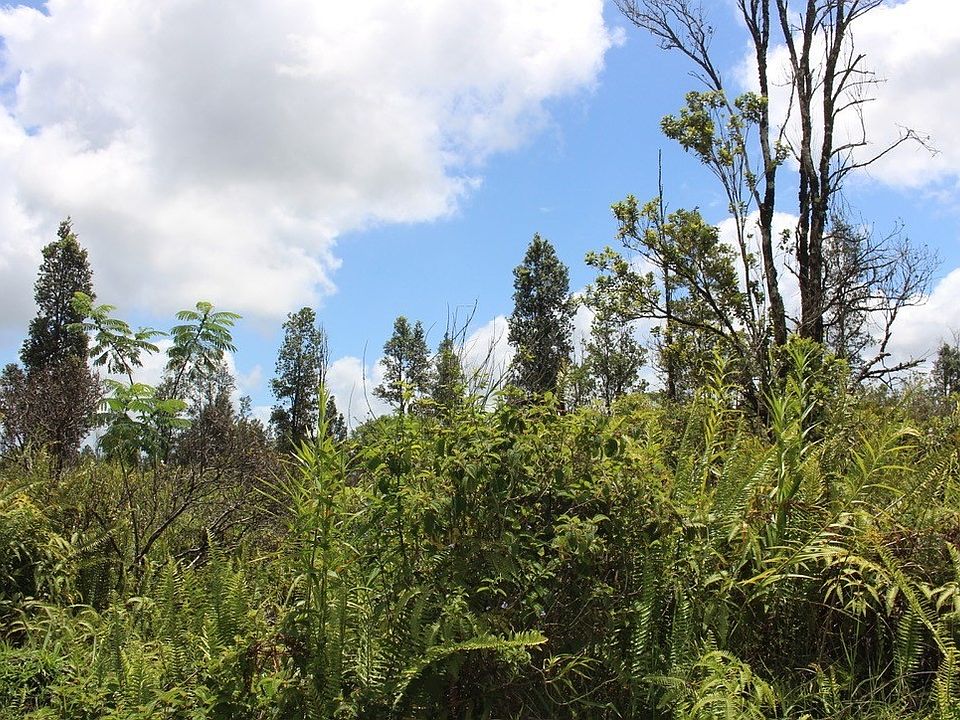 1st image of Plumeria St Lot 6468