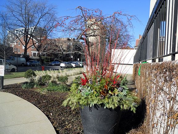5th image of 5201 S Cornell Ave APT 3E