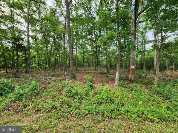 3555 Baptist Church Rd, Nanjemoy, MD 20662