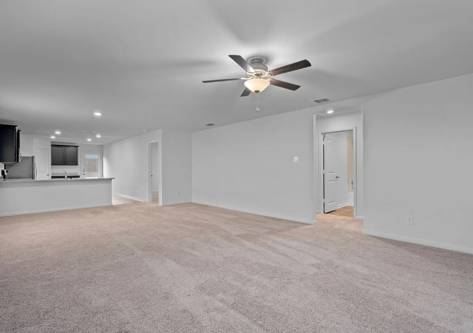 3979 Turtle Crk, New Braunfels, Texas 78132 — Photo 3