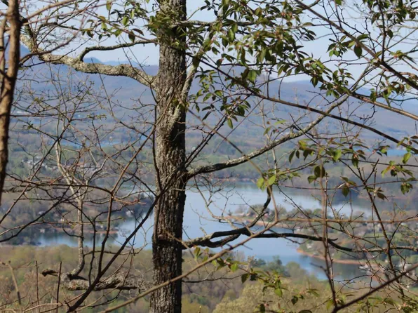 LOT 11 The Pinnacle, Hayesville, NC 28904