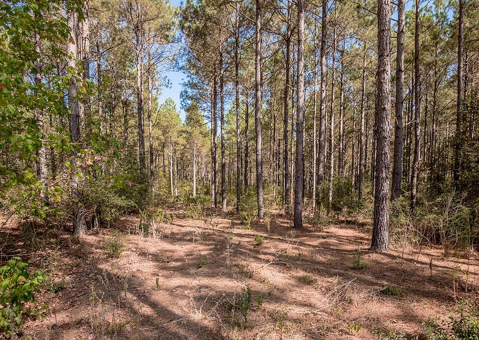 1st image of 30 AC County Road 783
