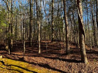 32 Oceola Dr, Ellijay, GA 30540