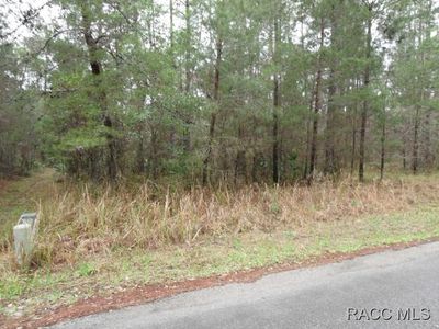 39 Foxglove Ct, Homosassa, FL, 34446