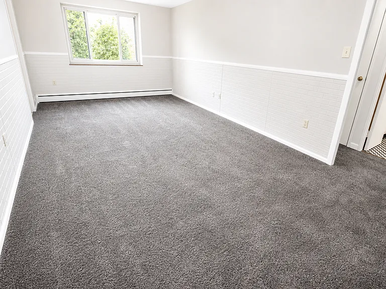 Carpeted 1 Bed/1 Bath (Unit 307)