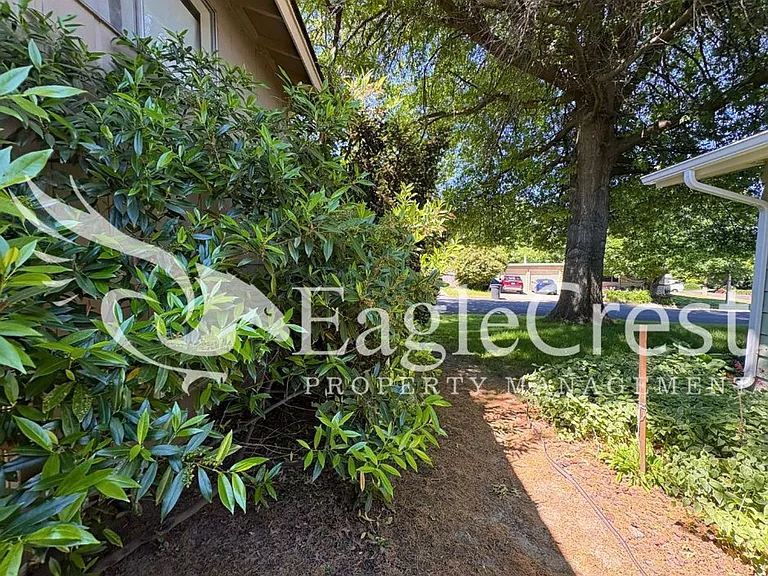 924 Shasta Dr — Photo 17