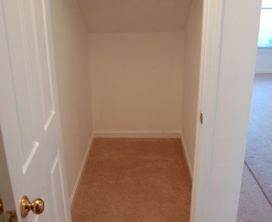 Walk in closet under steps