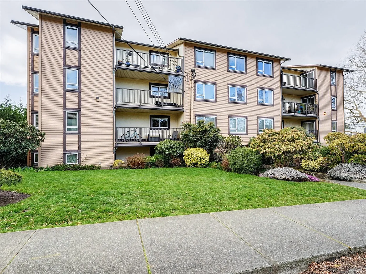 3258 Alder St #202 photo 1