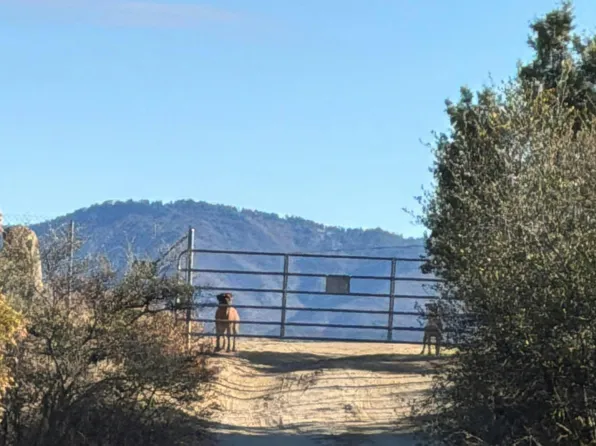 52950 Paui Rd, Aguanga, CA 92536
