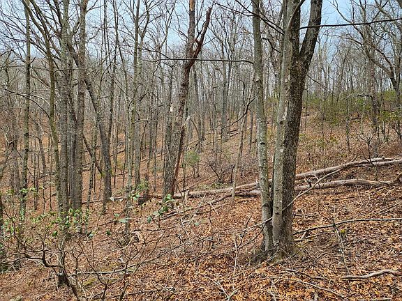 4th image of Jack Mountain Rd