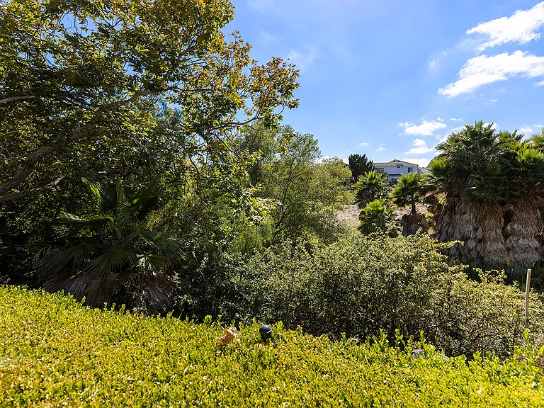 14624 Carmel Ridge Rd — Photo 39