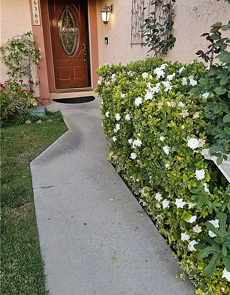 Main Entrance