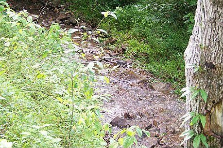 5th image of 185 Hog Creek Ln