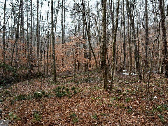 2nd image of 0 Willow Springs Rd