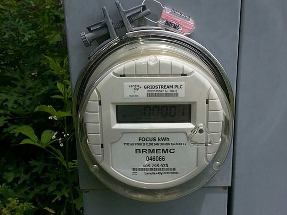 5th image of 170 Wl Roberson Dr